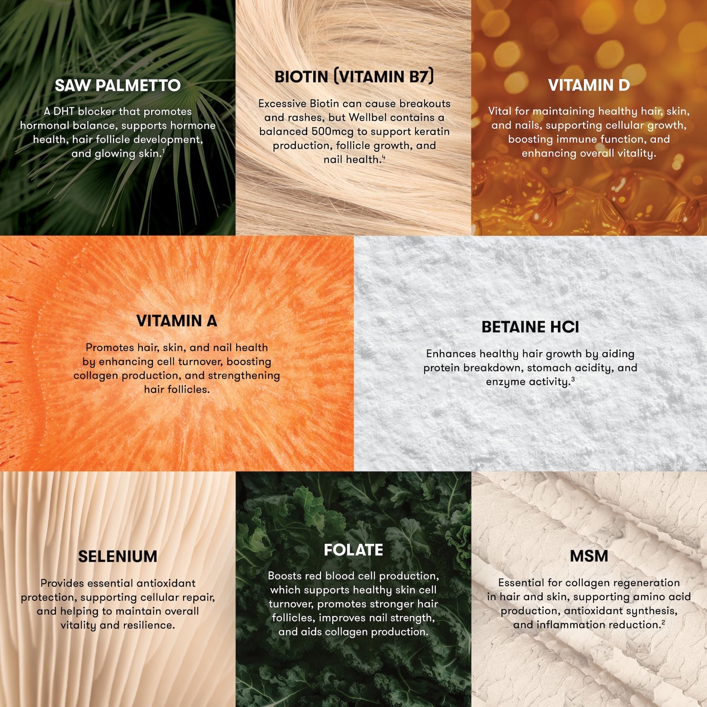Divost Women Bundle